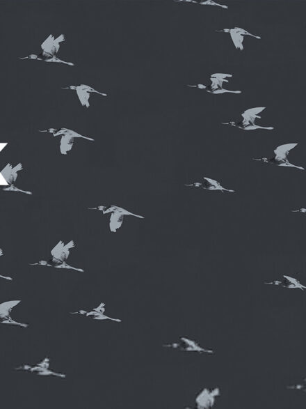 Flock Graphics - Image 11