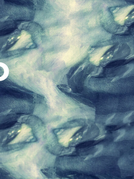 Oculo Graphics - Image 3