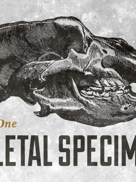 Skeletal Specimens Vol.1 Graphics - Image 2