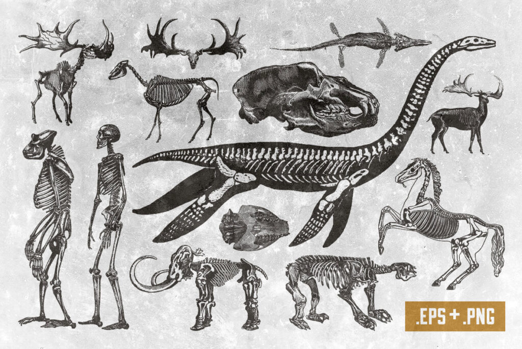 E3220_01.jpg E3220_01.jpg