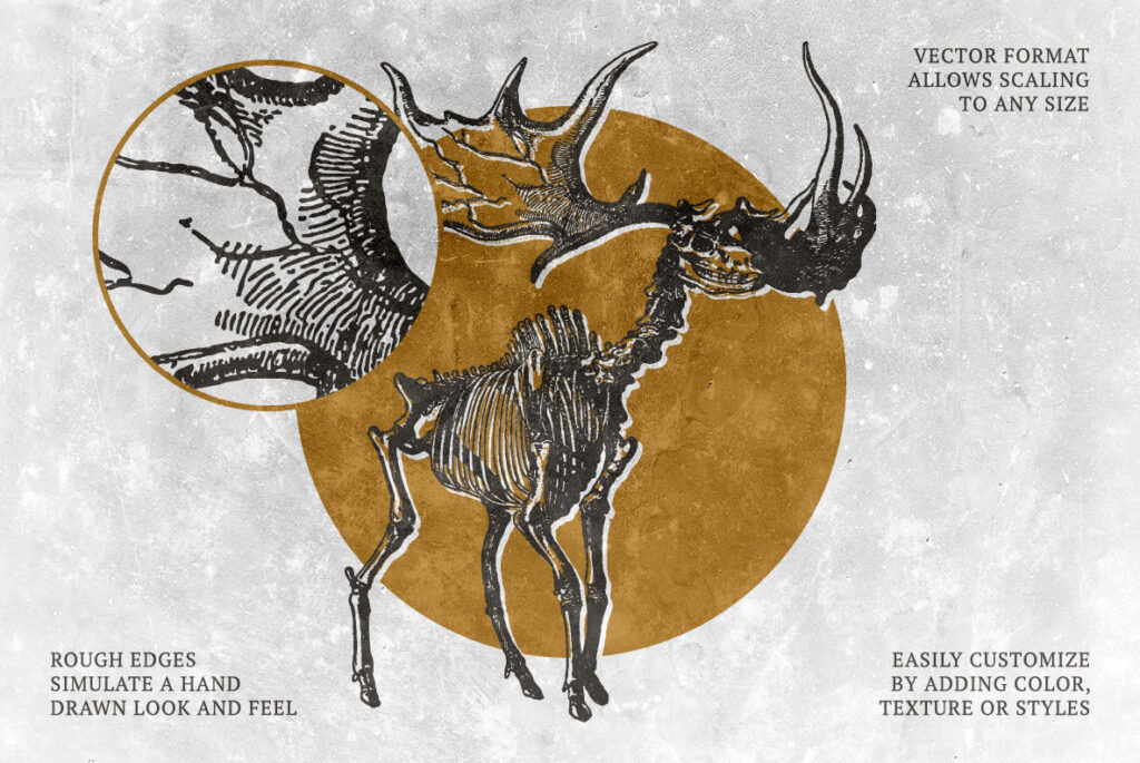 E3220_02.jpg E3220_02.jpg