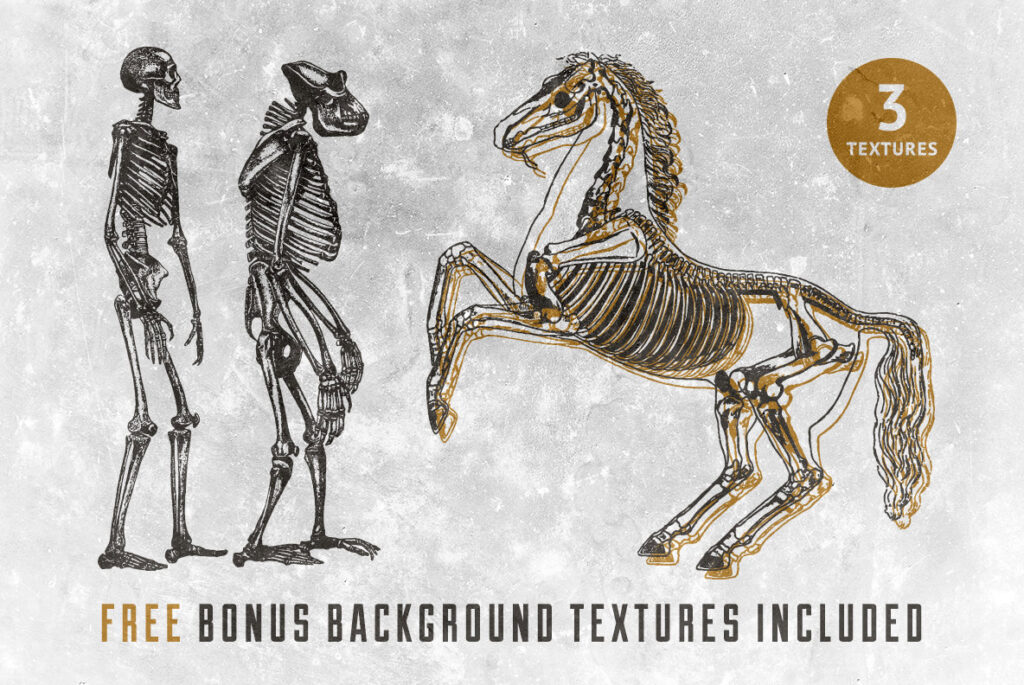 E3220_04.jpg E3220_04.jpg