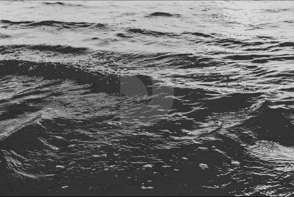 E3261_02.jpg E3261_02.jpg