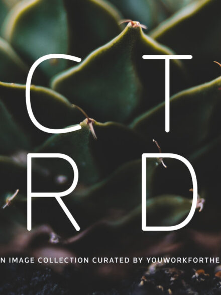 Cactus Garden Graphics - Image 10