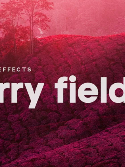 Cherry Fields Action Graphics - Image 1