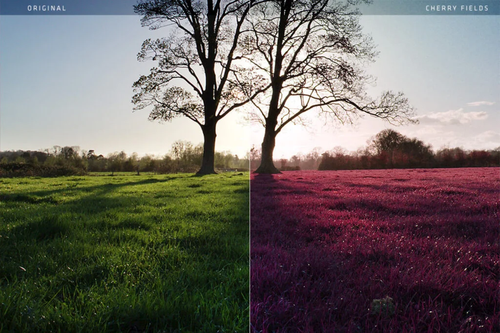 E3299_01.jpg E3299_01.jpg