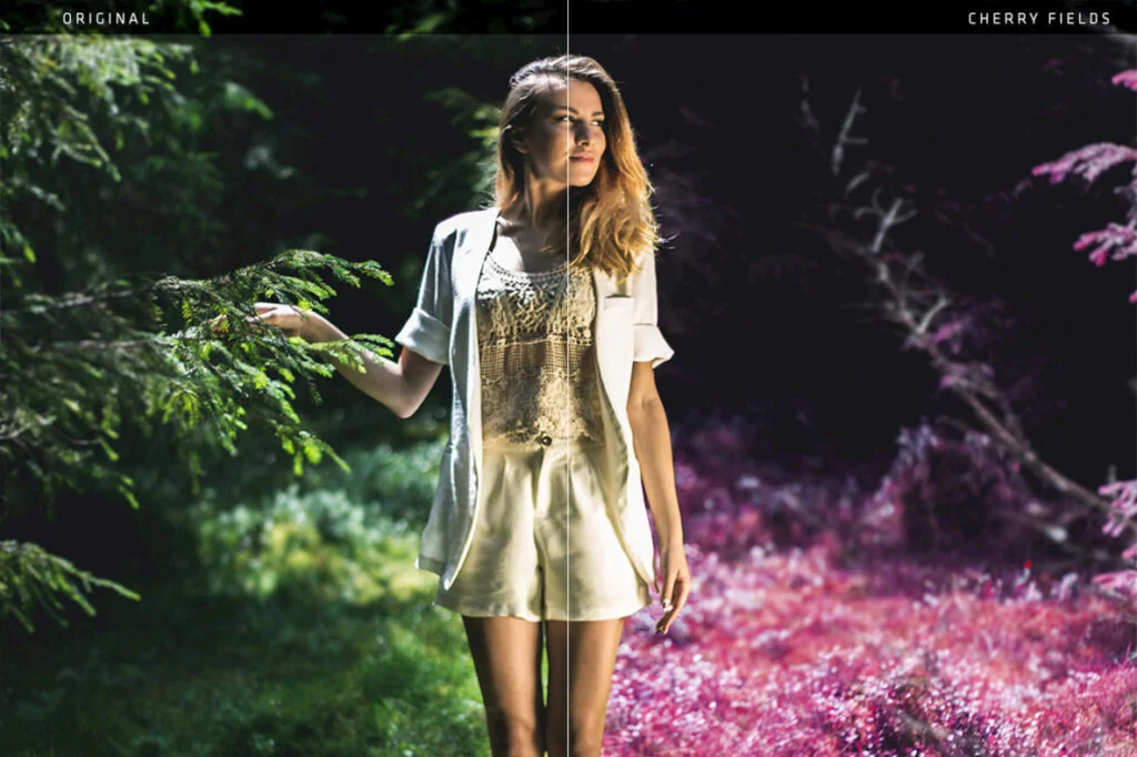 E3299_02.jpg E3299_02.jpg