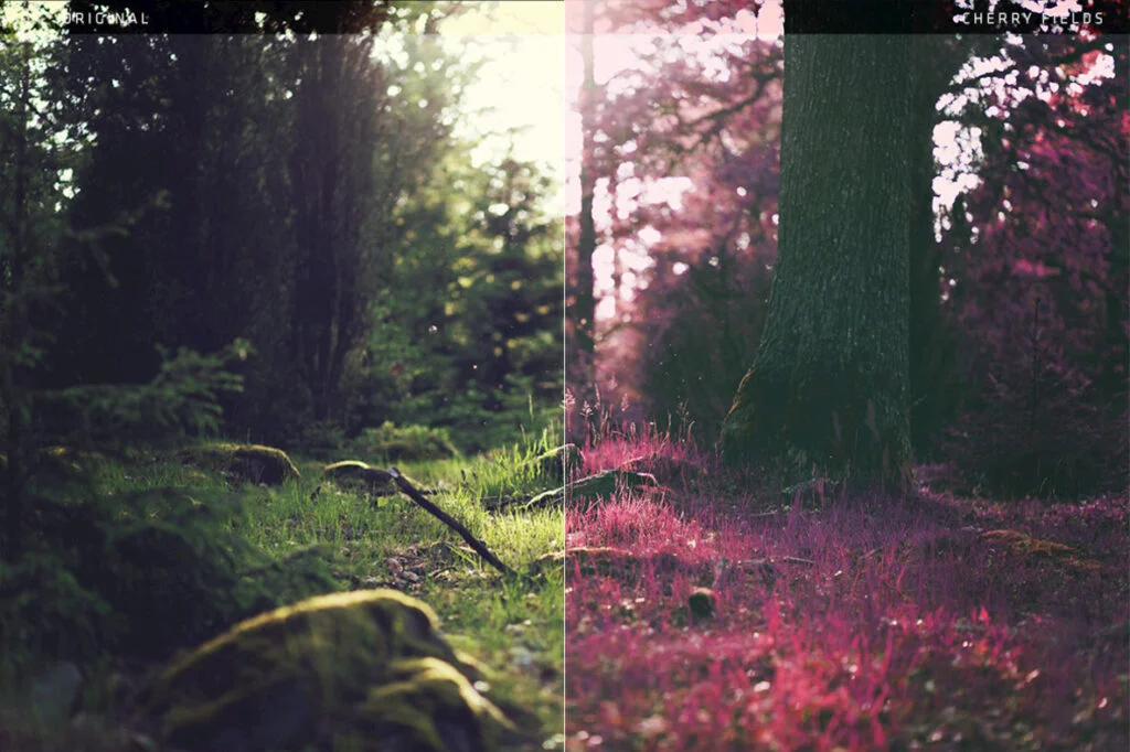 E3299_04.jpg E3299_04.jpg