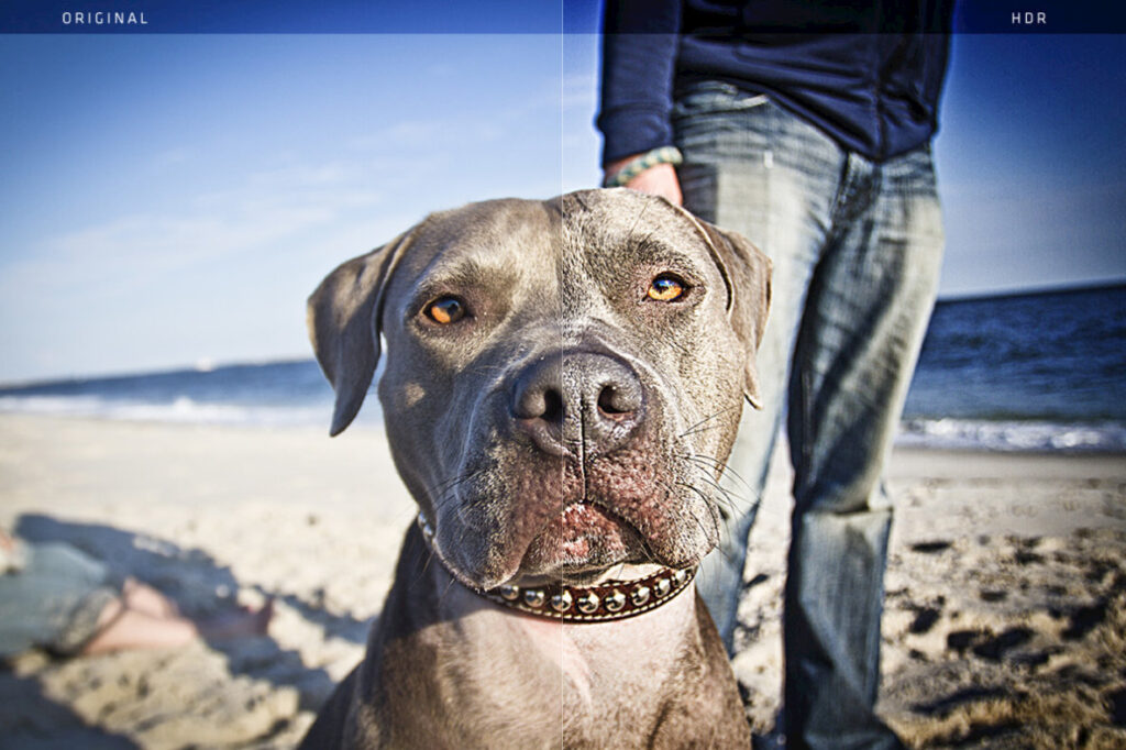 E3303_04.jpg E3303_04.jpg