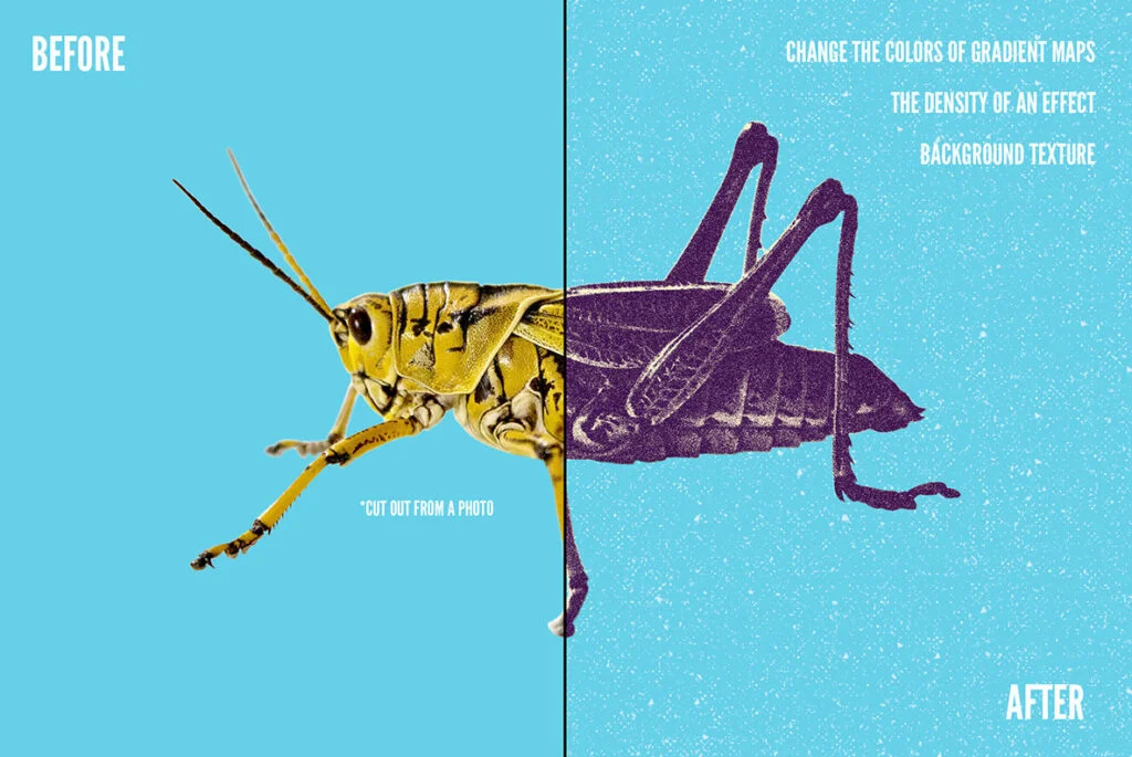 E3339_04.jpg E3339_04.jpg