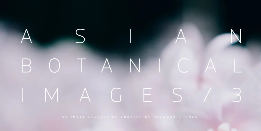 Asian Botanical Images 3 Graphics - Image 2