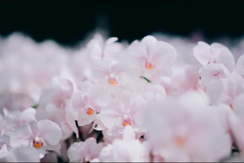 E3356_02.jpg E3356_02.jpg