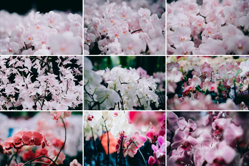 E3356_04.jpg E3356_04.jpg