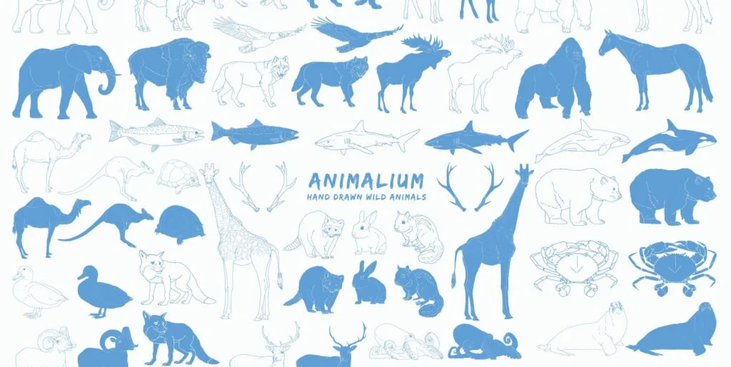 Animalium Graphics - Image 1