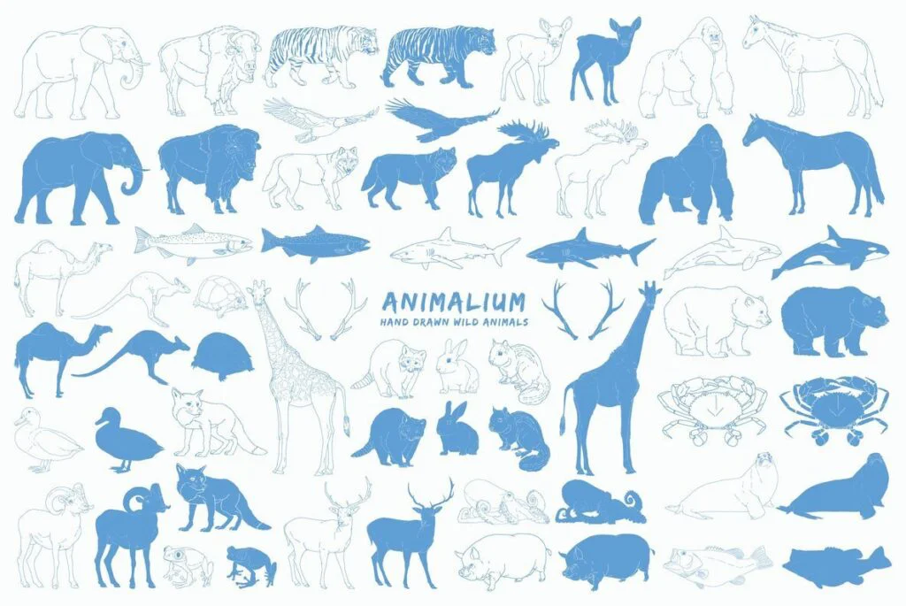 E3368_00.jpg E3368_00.jpg