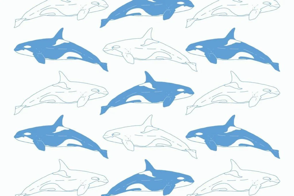 E3368_01.jpg E3368_01.jpg