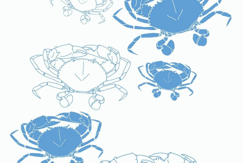 E3368_03.jpg E3368_03.jpg