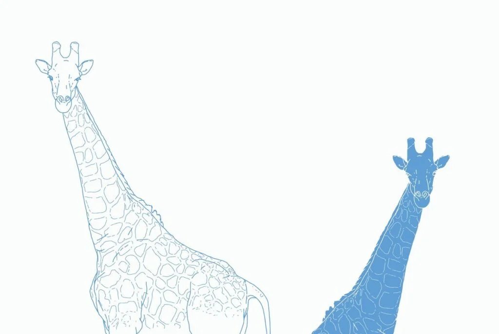 E3368_04.jpg E3368_04.jpg