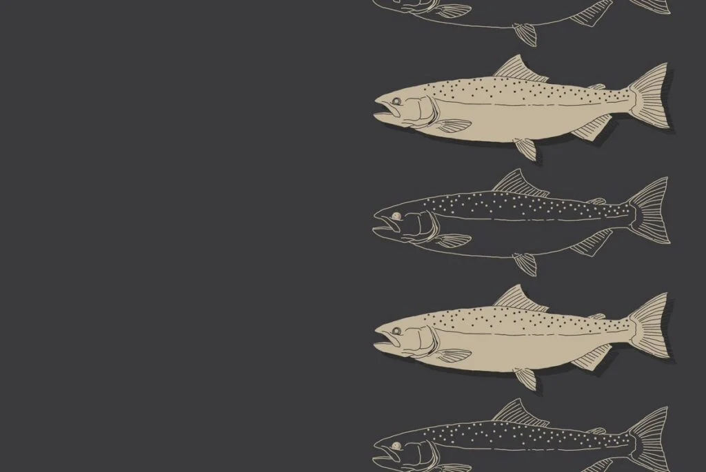 E3369_02.jpg E3369_02.jpg