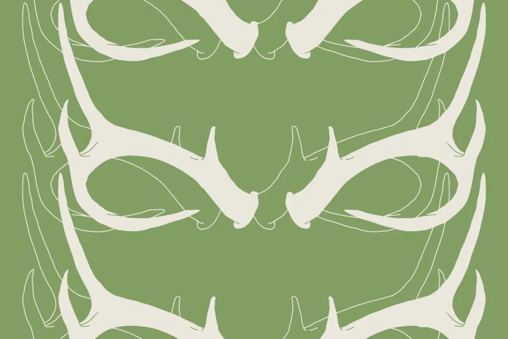 E3370_02.jpg E3370_02.jpg