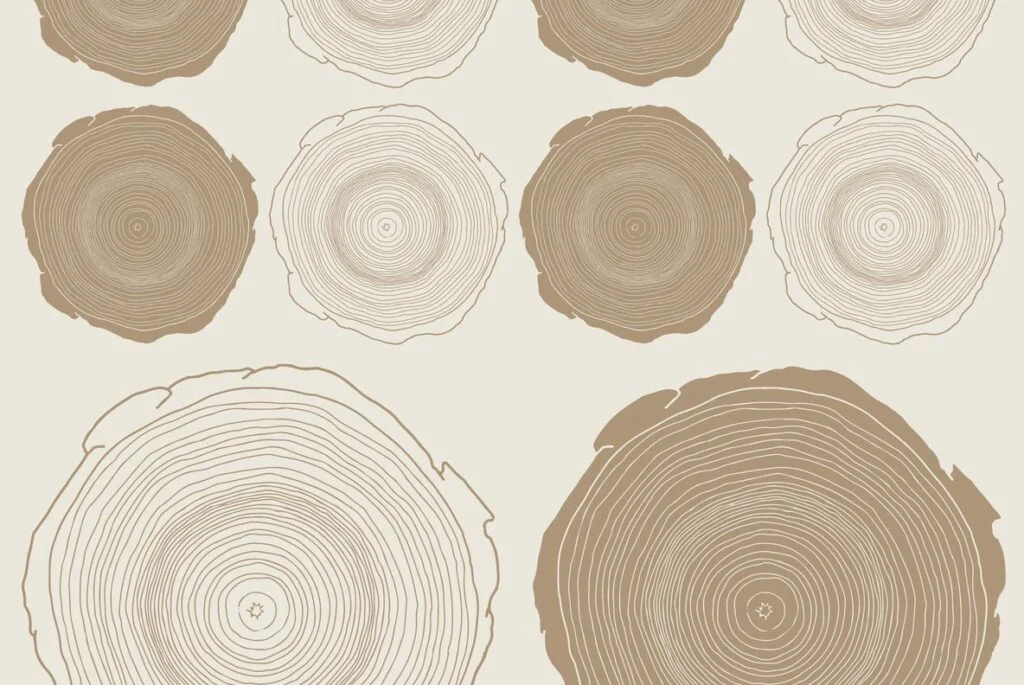 E3373_02.jpg E3373_02.jpg