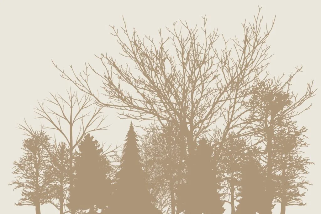 E3373_04.jpg E3373_04.jpg