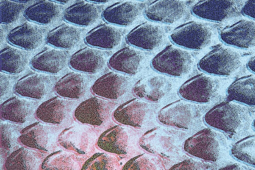 E9671_02.jpg E9671_02.jpg