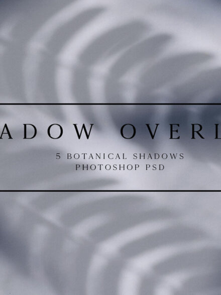 Botanical Shadow Overlays Graphics - Image 12