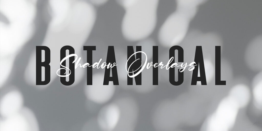 Botanical Sunbeams Shadow Overlays Graphics - Image 2