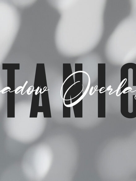 Botanical Sunbeams Shadow Overlays Graphics - Image 12