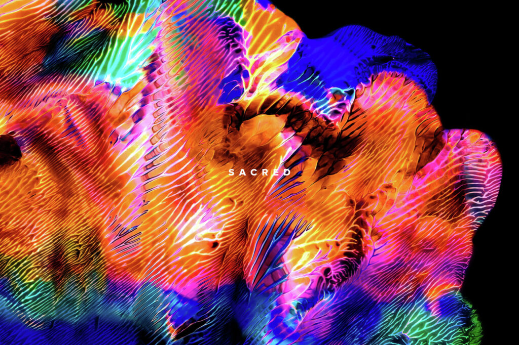 E9738_03.jpg E9738_03.jpg