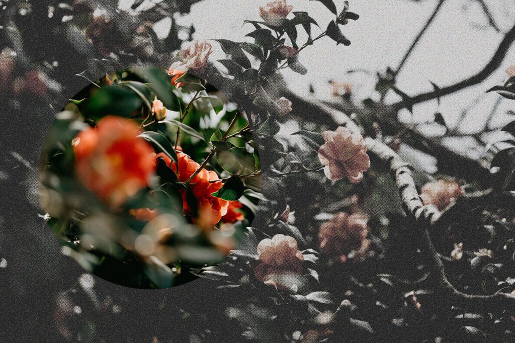 E9798_02.jpg E9798_02.jpg