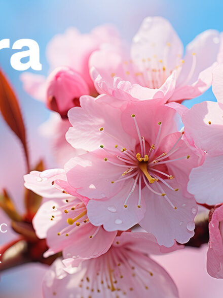 Transcending Boundaries with Sakura Graphics: A New Vista in Digital Design - Image 12
