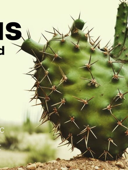 Anthropomorphic Artistry: The Mesmeric Interplay of Cactus Graphics - Image 8