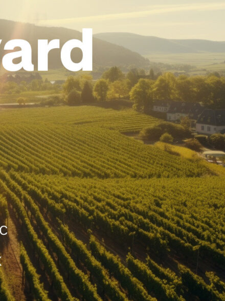 Savoring Artistry: The Vineyard Graphics Collection – A Digital Toast to Wine Heritage - Image 8