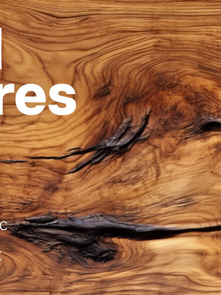 Creating Digital Narratives with the Timeless Allure of our Wood Testures Graphics Collection - Image 7