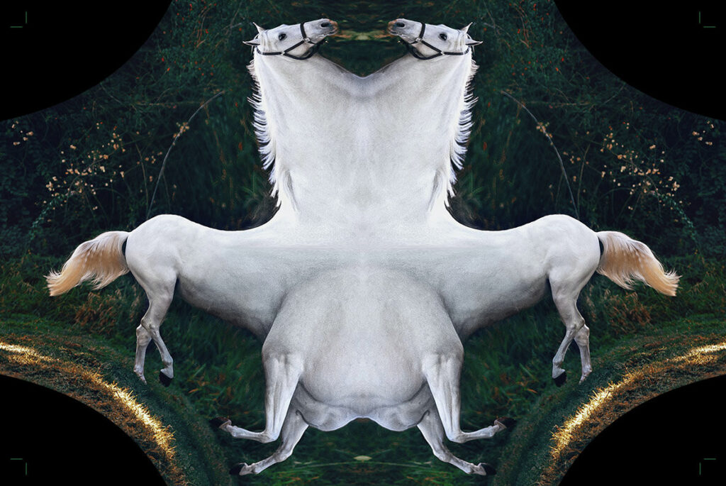 E9920_05.jpg E9920_05.jpg