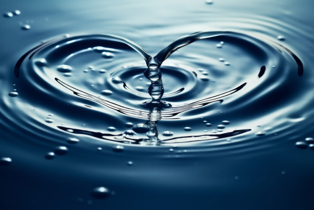 E10051_05.jpg E10051_05.jpg