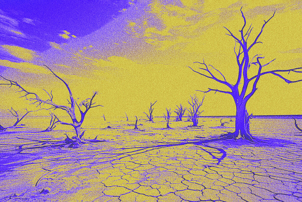 E9916_04.jpg E9916_04.jpg