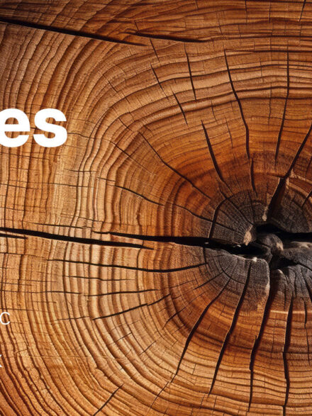 The Artisanal Essence: Unveiling Natures Elegance with Wood Textures - Image 6