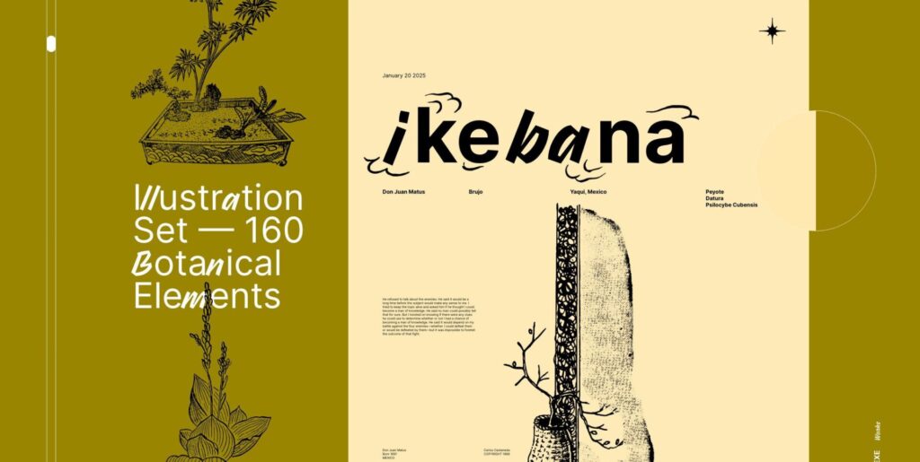 Blossoming Serenity: Exploring Design Through the Ikebana Botanical Illustration Set - Image 1