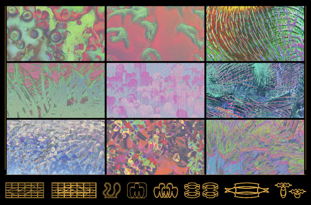 E10132_03.jpg E10132_03.jpg