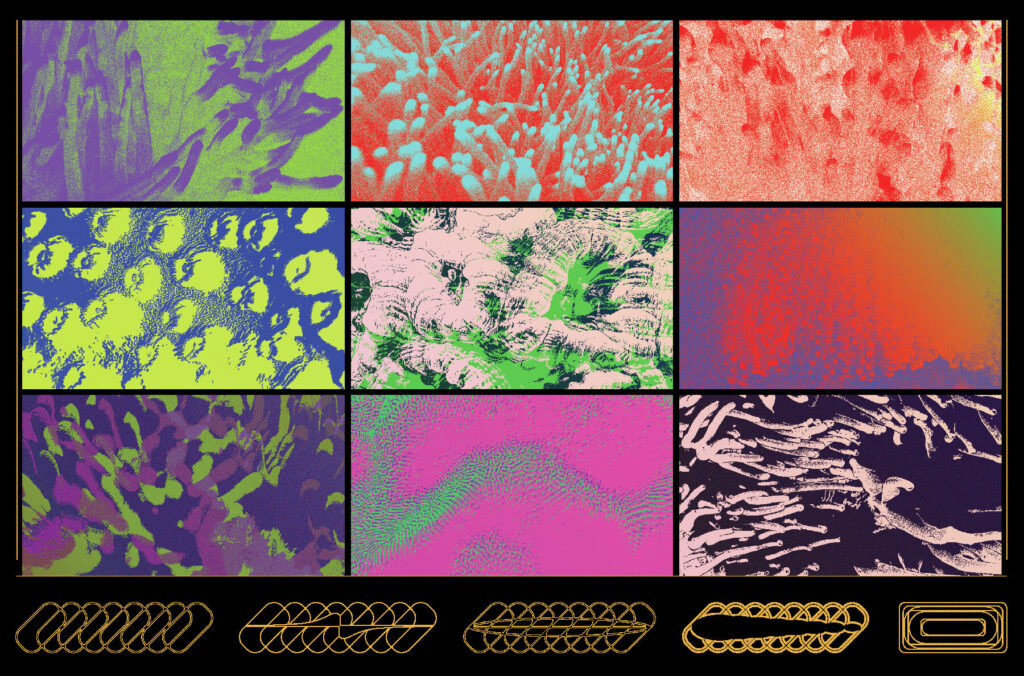 E10132_04.jpg E10132_04.jpg