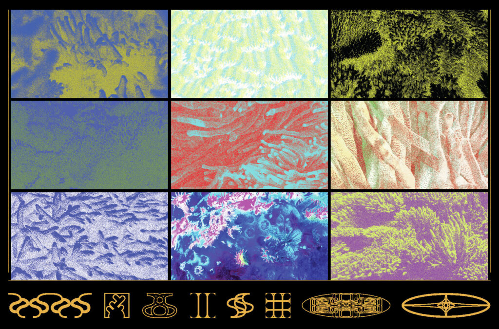 E10132_05.jpg E10132_05.jpg