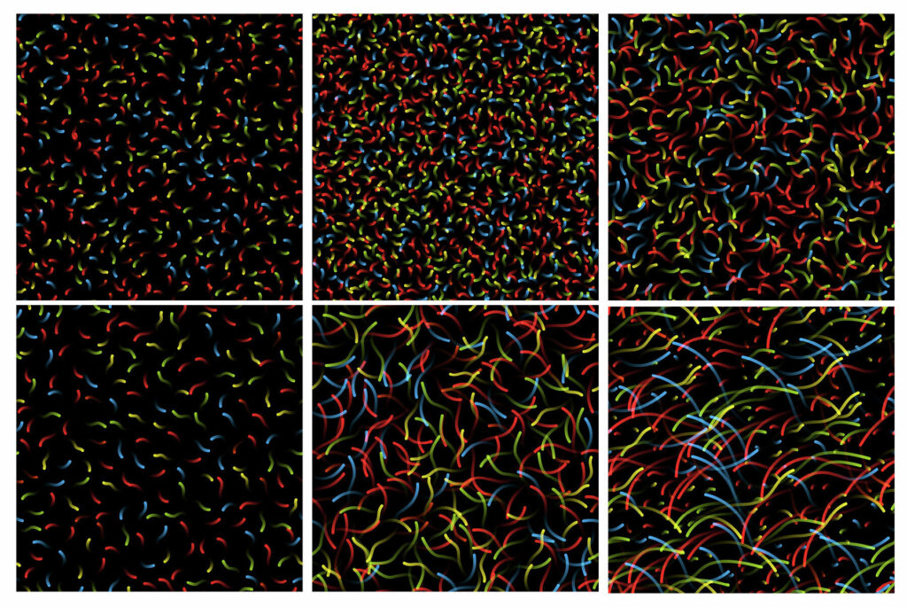 E10195_01.jpg E10195_01.jpg