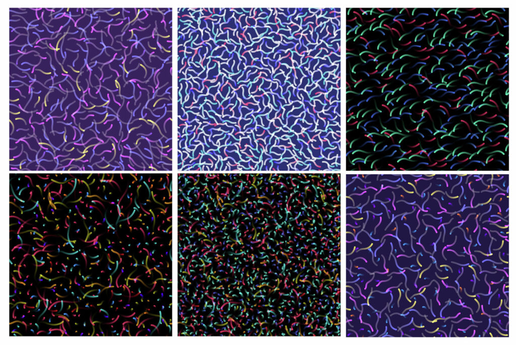 E10195_04.jpg E10195_04.jpg