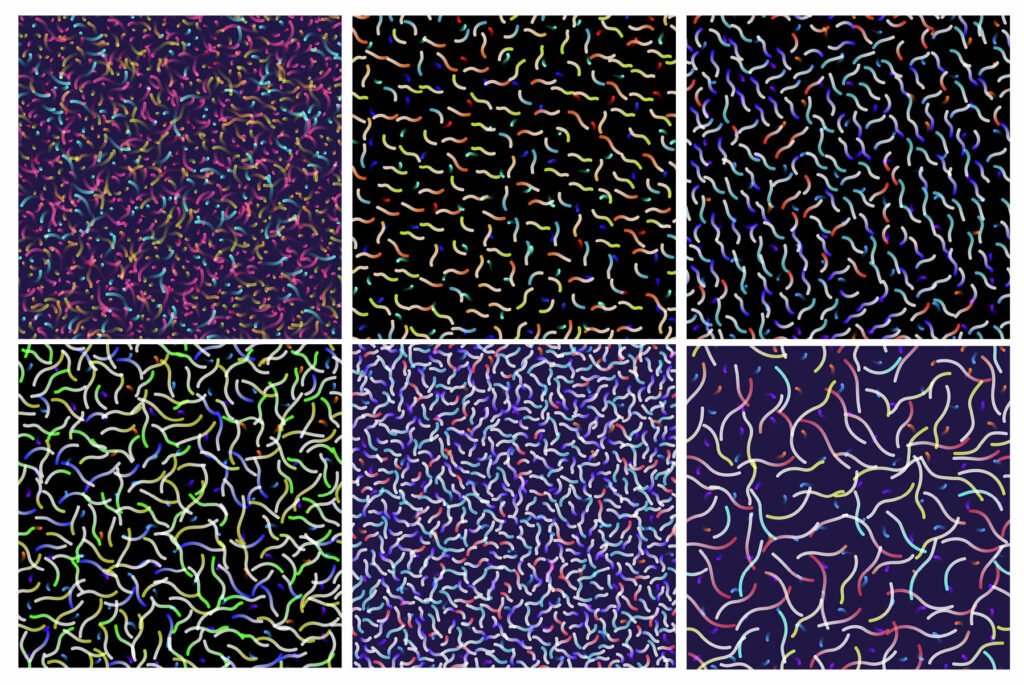 E10195_05.jpg E10195_05.jpg