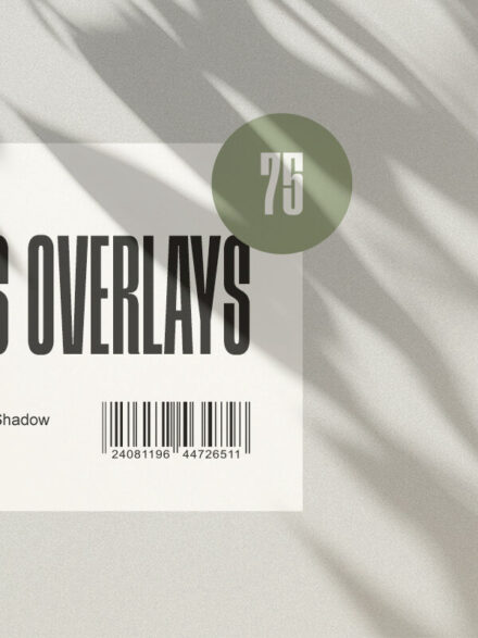 Master the Art of Digital Realism with the Light & Shadow Overlays Collection - Image 1