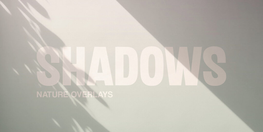 Nature Shadow Overlays: An Artistic Fusion of Digital Design and Natural Aesthetics - Image 2