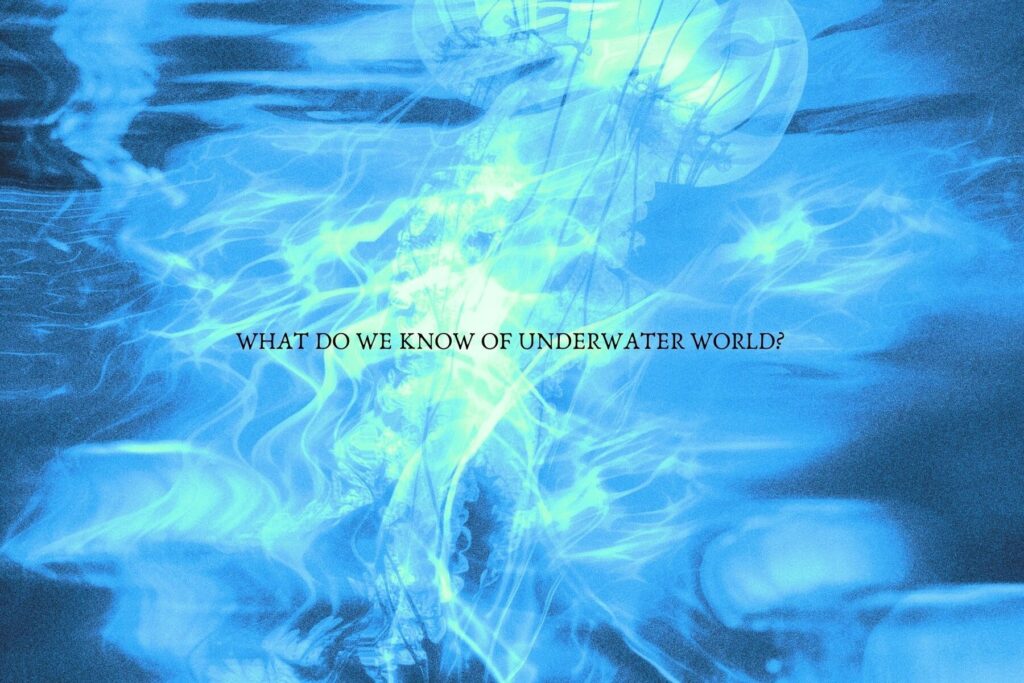 E10602_03.jpg E10602_03.jpg